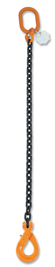 ROBUR 8091SL D6-1 RÖGZÍTŐ LÁNCHEVEDER - Beta - 080910201
